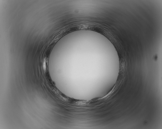 X0000112150094200908071013
