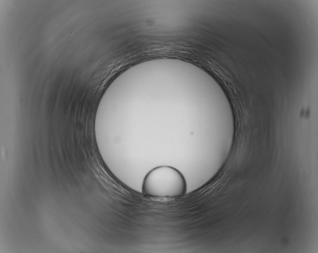 X0000112150096200908071013