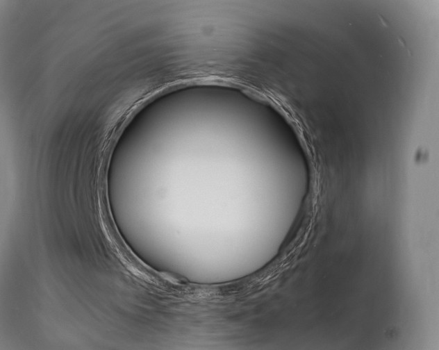 X0000112150097200908071012