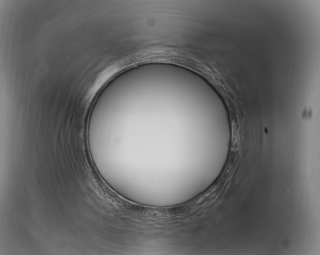 X0000112150099200908071012