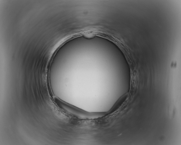X0000112150100200908071012