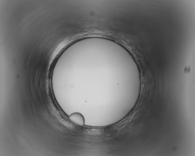 X0000112150102200908071012