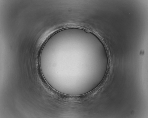 X0000112150103200908071012