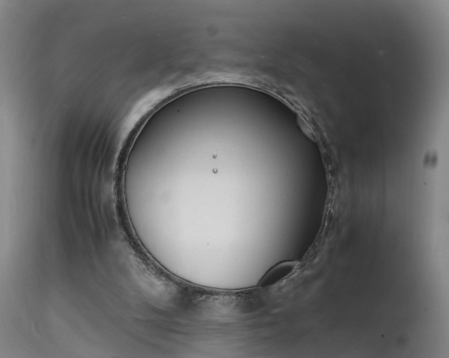 X0000112150104200908071012