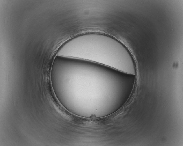 X0000112150105200908071012