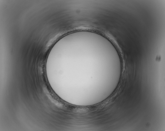 X0000112150106200908071012