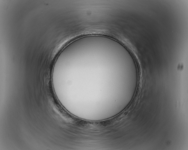 X0000112150107200908071012