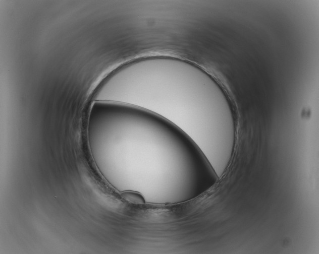 X0000112150108200908071012