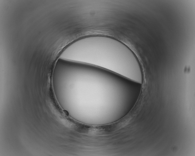 X0000112150109200908071012
