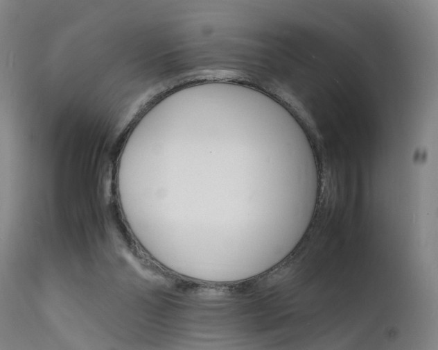 X0000112150110200908071012