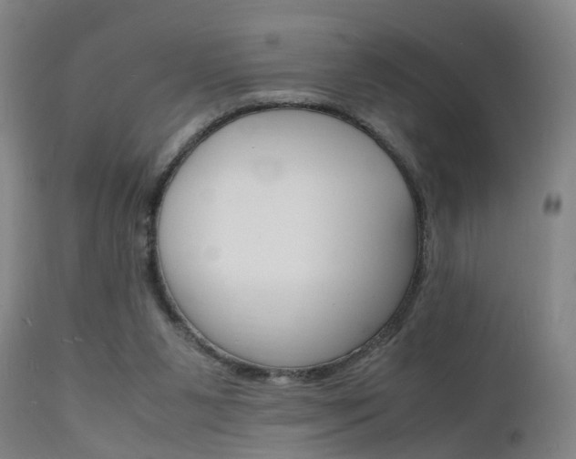 X0000112150111200908071012