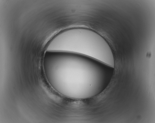 X0000112150112200908071012