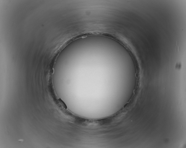 X0000112150113200908071012
