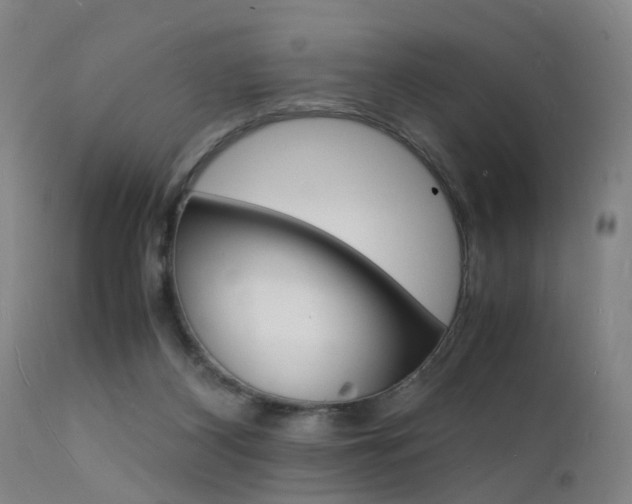 X0000112150116200908071012