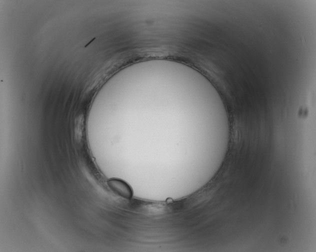 X0000112150118200908071012