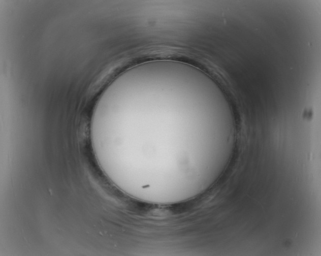X0000112150119200908071012