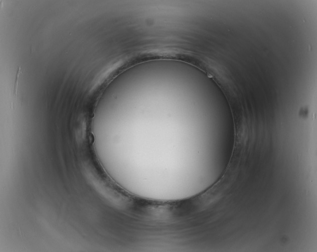 X0000112150120200908071012