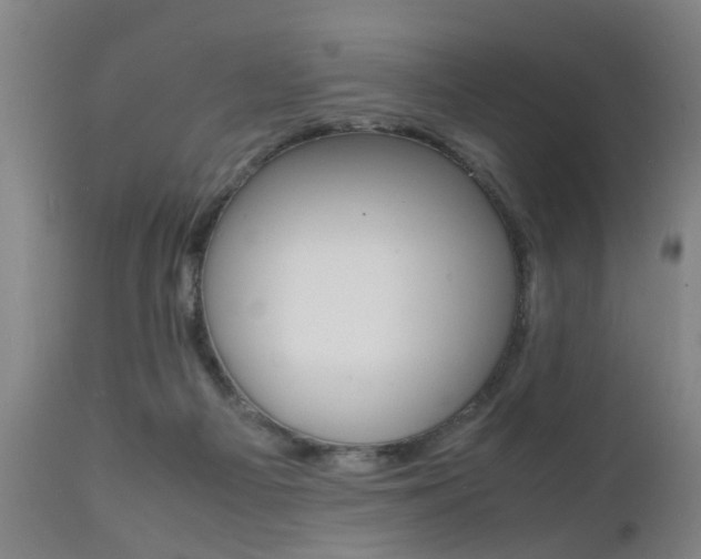 X0000112150121200908071012