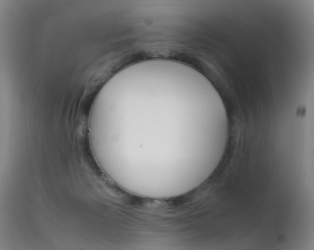 X0000112150125200908071012