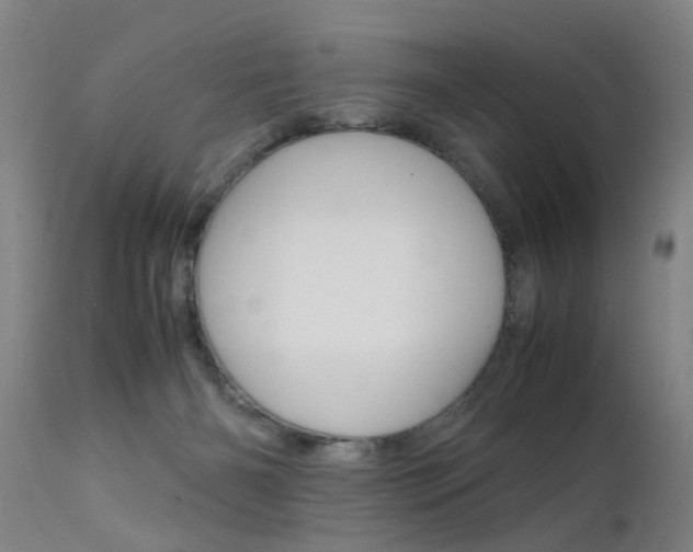 X0000112150126200908071012