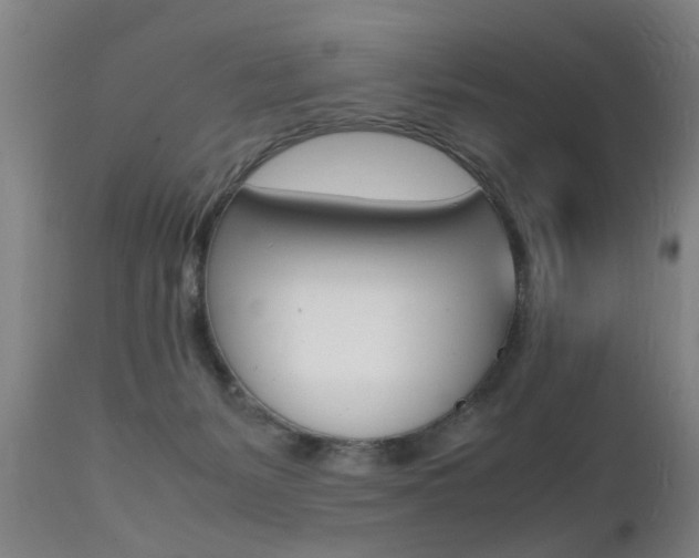 X0000112150127200908071012