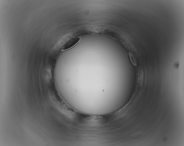 X0000112150128200908071012
