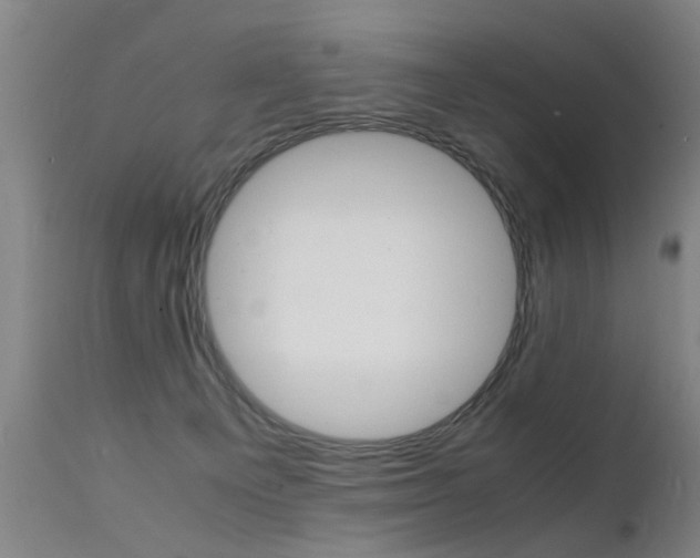 X0000112150129200908071012
