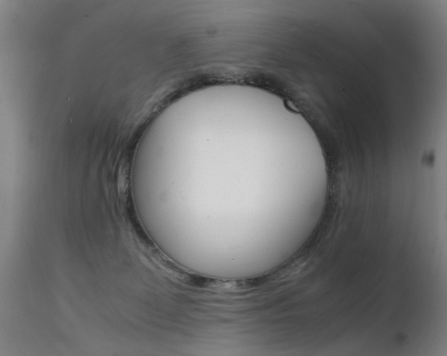 X0000112150131200908071012