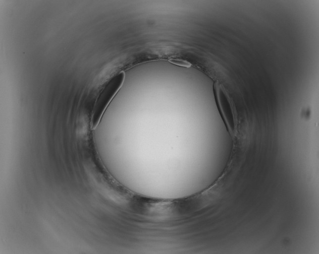 X0000112150132200908071012