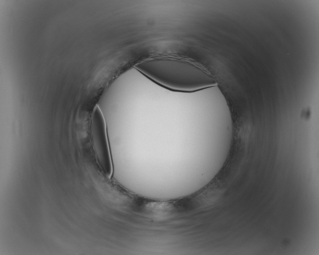 X0000112150133200908071012