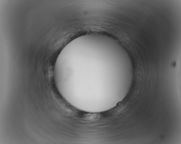 X0000112150135200908071012
