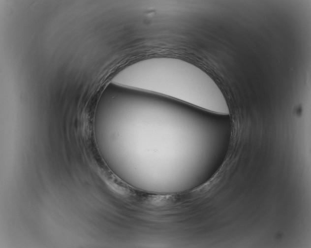 X0000112150136200908071012