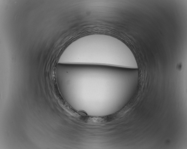 X0000112150137200908071012
