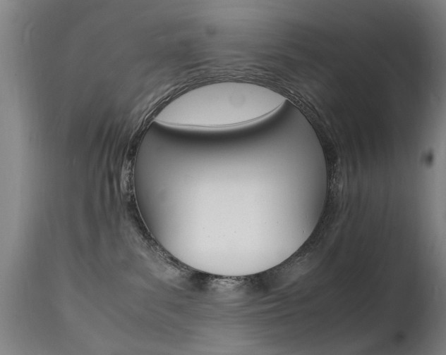 X0000112150139200908071012