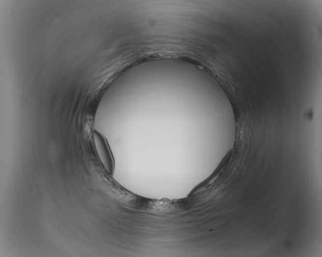 X0000112150141200908071012