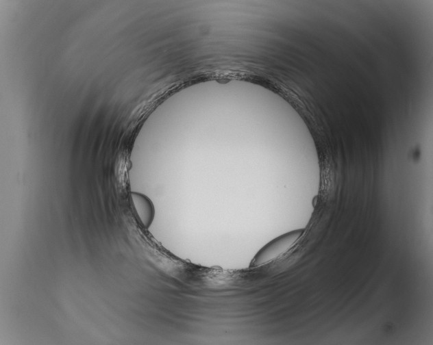 X0000112150142200908071012