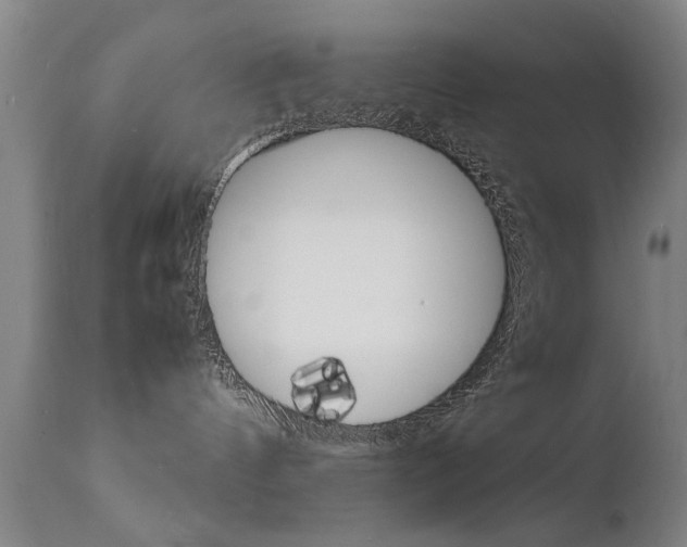 X0000112150144200908071012
