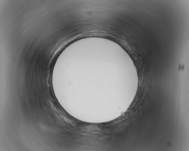 X0000112150146200908071011