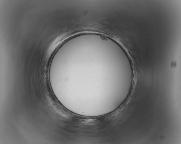 X0000112150151200908071011