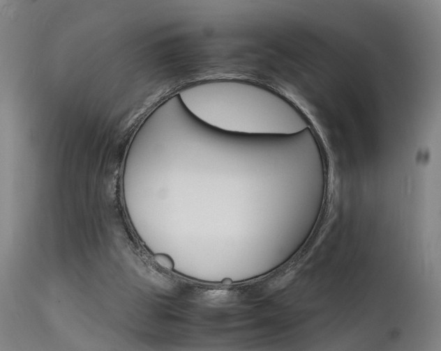 X0000112150153200908071011