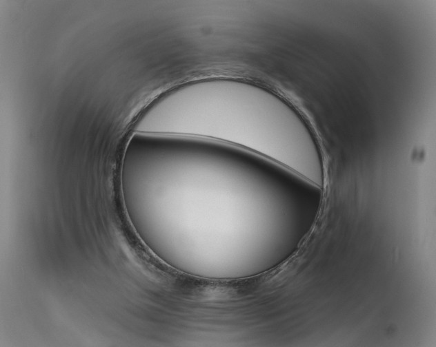 X0000112150154200908071011