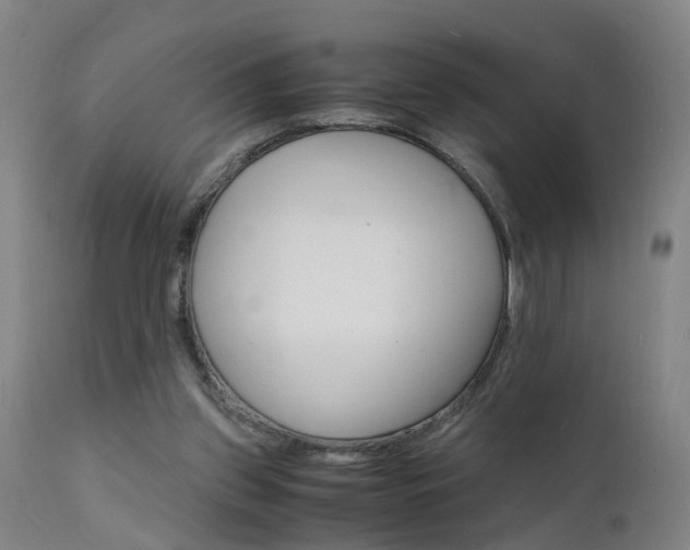 X0000112150157200908071011
