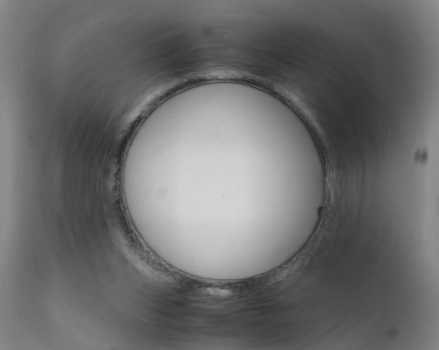 X0000112150159200908071011