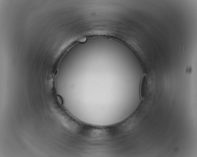 X0000112150160200908071011