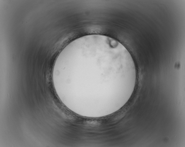 X0000112150161200908071011