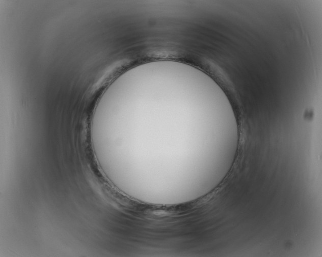 X0000112150163200908071011