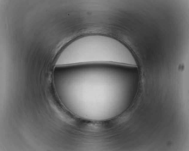 X0000112150164200908071011