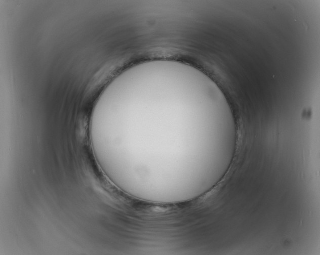 X0000112150166200908071011
