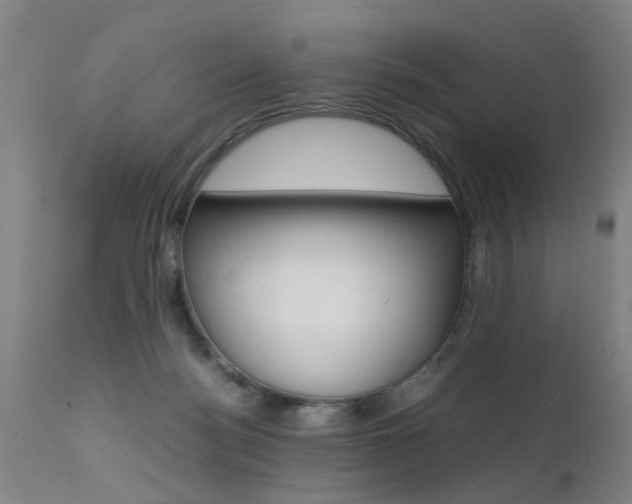 X0000112150172200908071011
