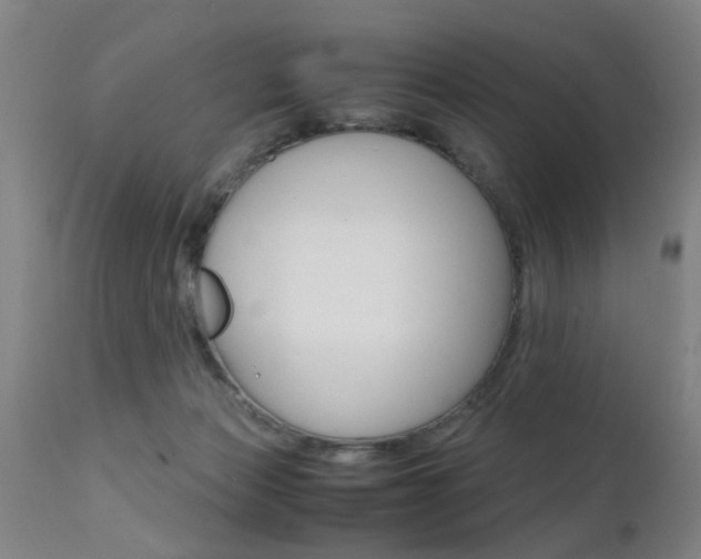 X0000112150173200908071011
